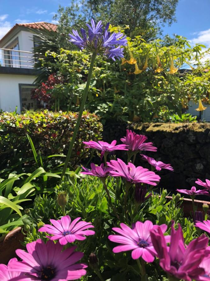 Quinta Da Bela Vista Villa Ponta Delgada Exterior foto